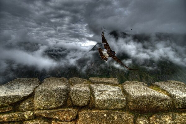 Un pájaro vuela a las montañas entre las nubes