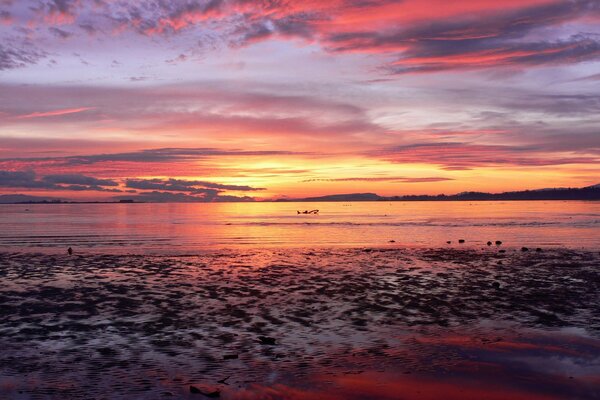 The end of the day by the sea