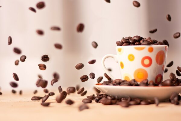 Coffee beans in a cup