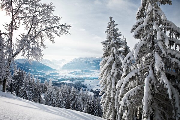 Mountain view from the top in winter