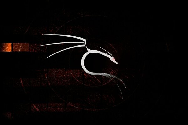 White dragon on a black background