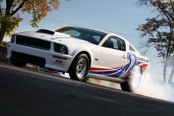 Ford Mustang mit Cobra-Bild