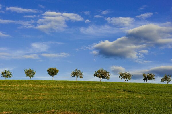 Wolken schweben über dem grünen Rasen