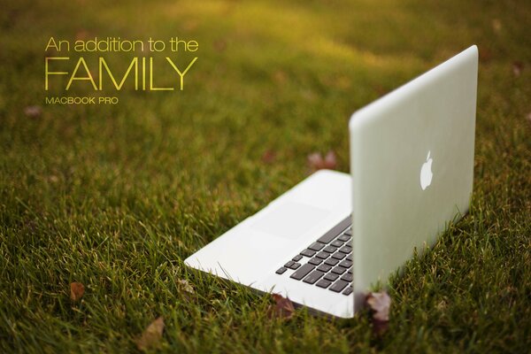 An open Apple laptop on the green grass