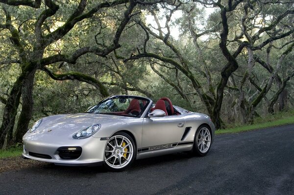 Porsche d argento su uno sfondo di alberi