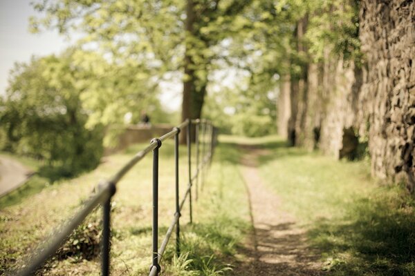 Un sentier avec une clôture menant au passé