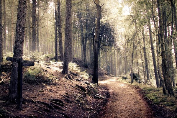 Cartello sulla vecchia strada forestale