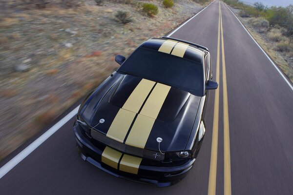 Voiture américaine rapide et sportive de Shelby