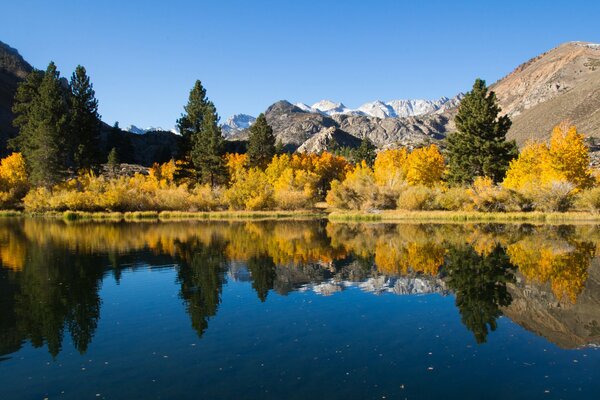 Reflexion im goldenen Herbstsee