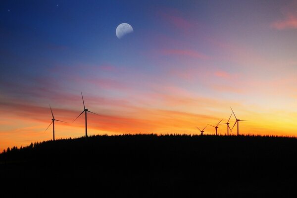 Abendlandschaft von Windpocken im Feld