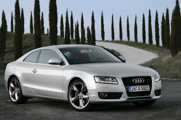 The silver Audi is in a beautiful place