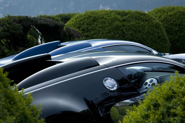 Black hood of a car in the bushes, green spaces and Bugatti