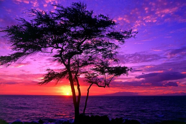 Puesta de sol en Hawai es una vista alucinante