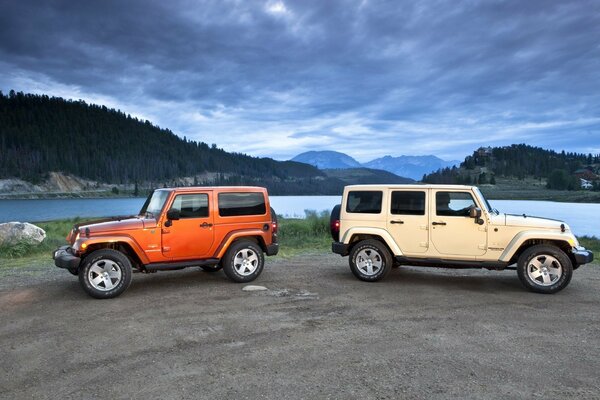 Zwei Jeeps im Hintergrund der Natur