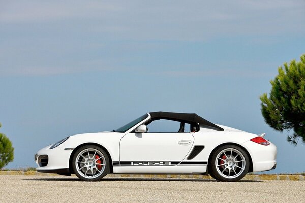Auto sportiva Porsche di colore bianco