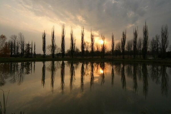 A pond in which the trees and the sunset are reflected