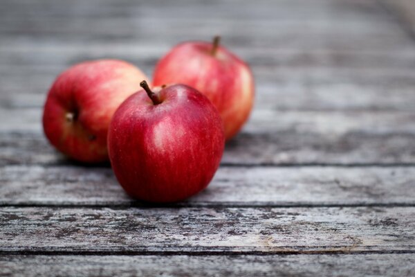 Lonely red apples on the bench