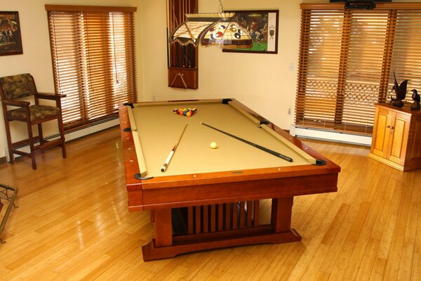 Billiard room for playing and relaxing