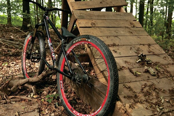 Street bike in the woods leaning against a broken jumping ramp