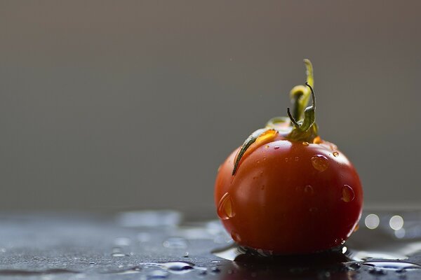 Red tomato on a wet table