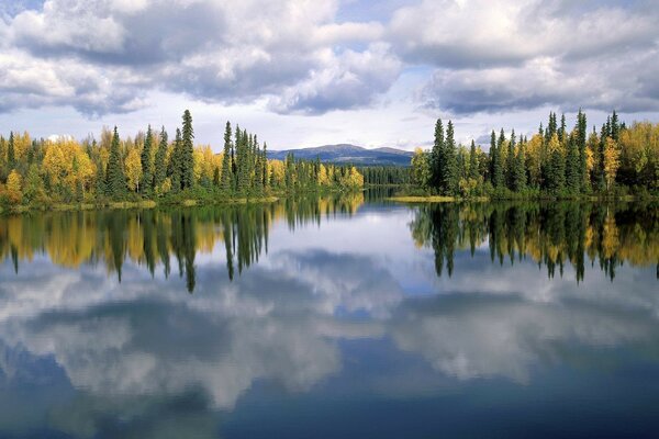 Riflessione degli alberi nella superficie del Lago