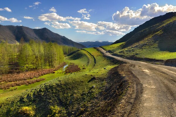 Прекрасный день лета на горном алтае