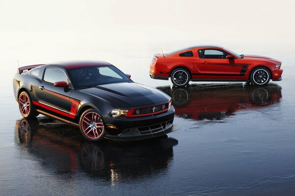 Elegante Ford y Mustang en asfalto mojado