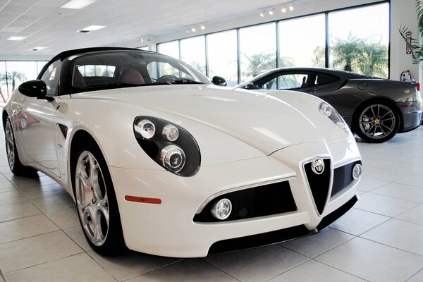 Buy Alfa Romeo in white