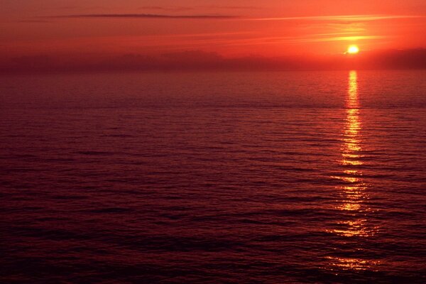 The surface of the water. Red sunset