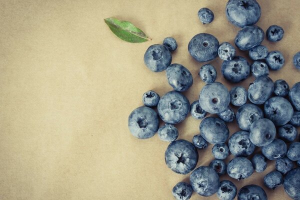 Blueberries on the side on a light background minimalism