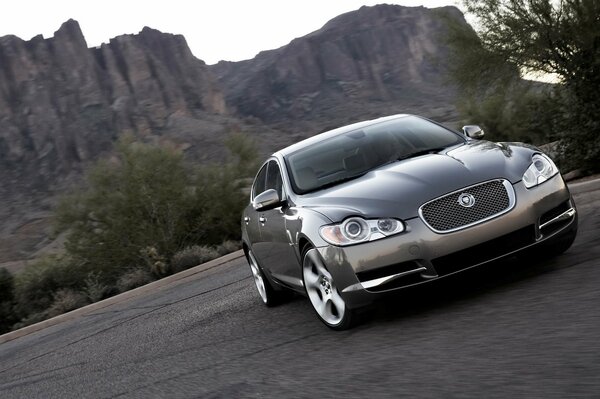 Image d une voiture gris jaguar sur fond de montagnes