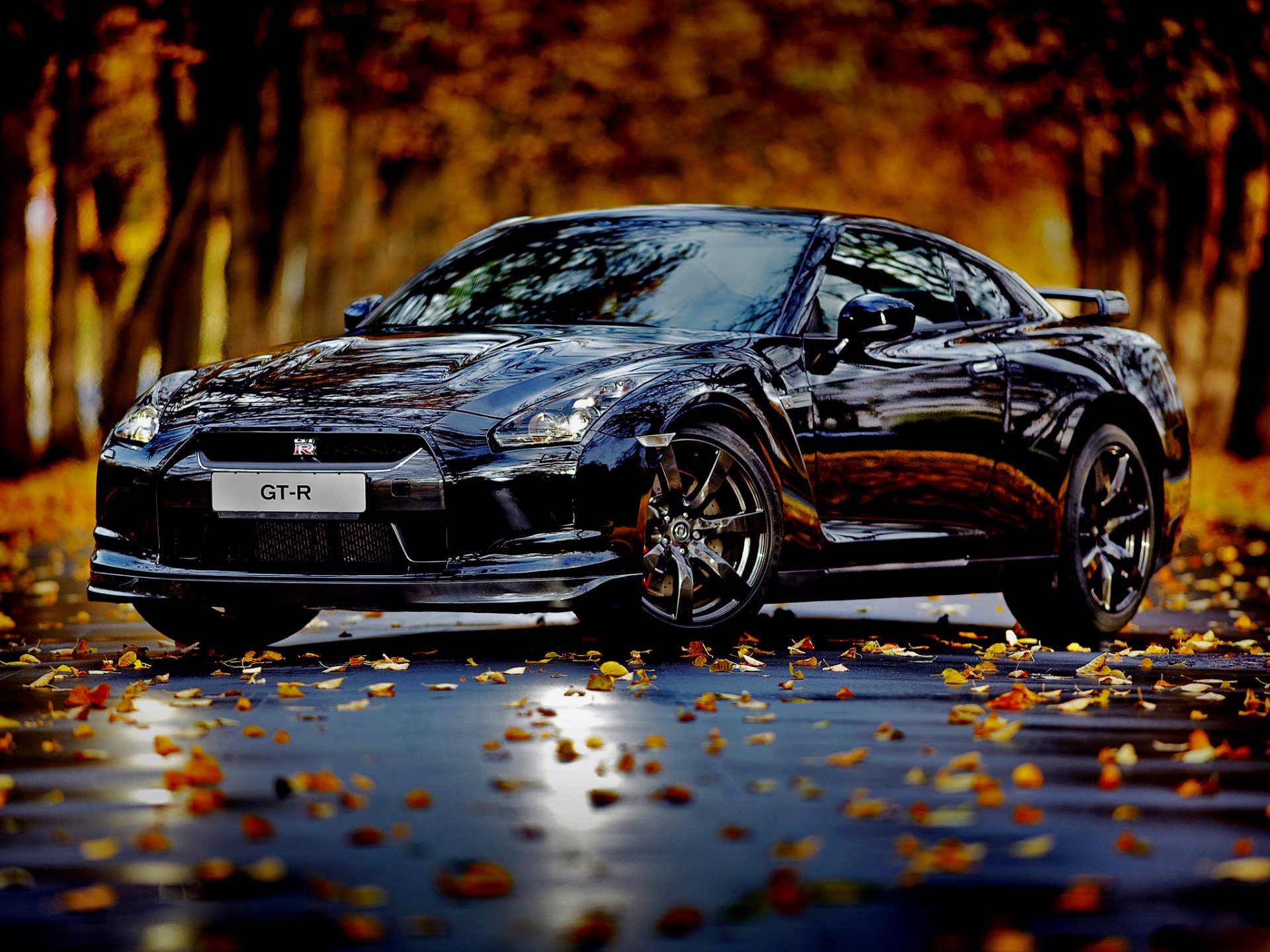 auto automne feuilles