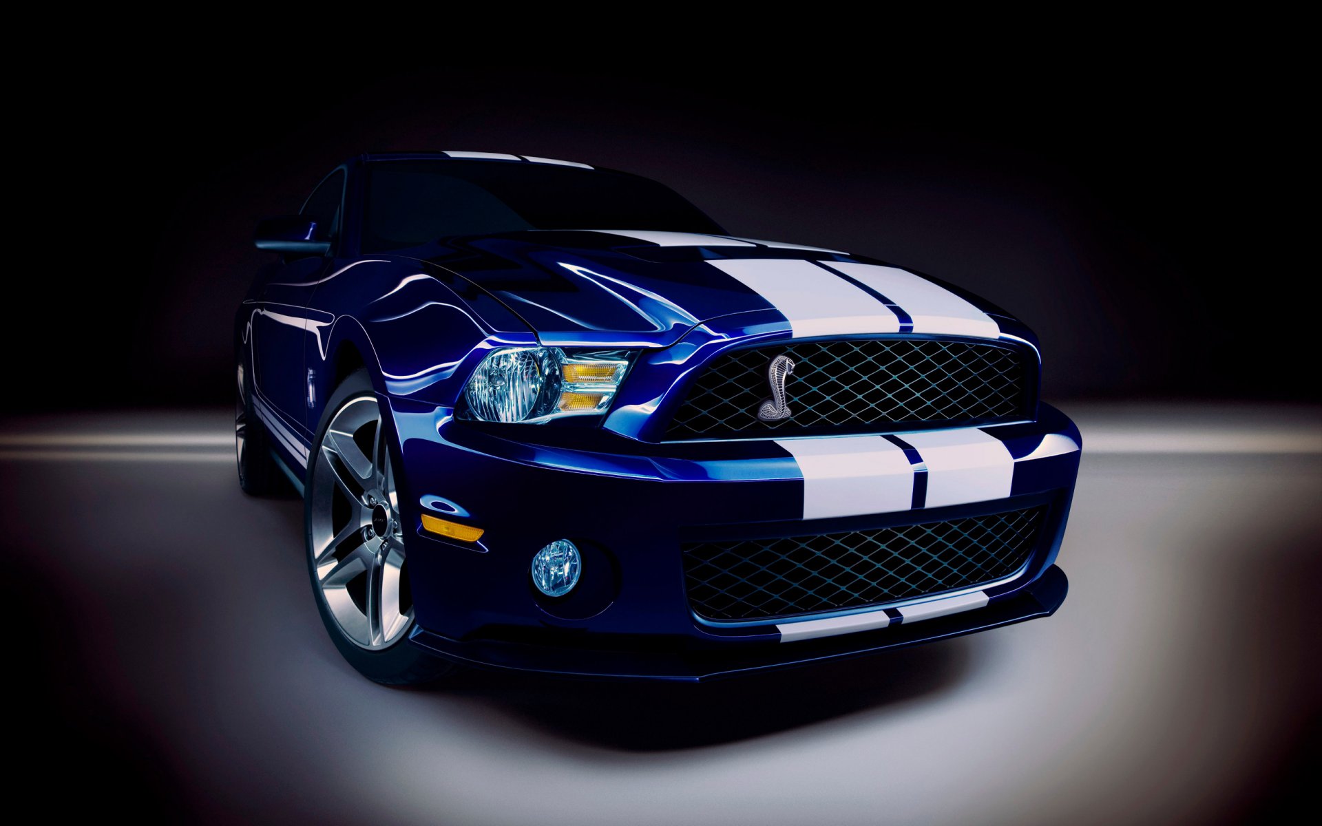 ford mustang shelby gt-500