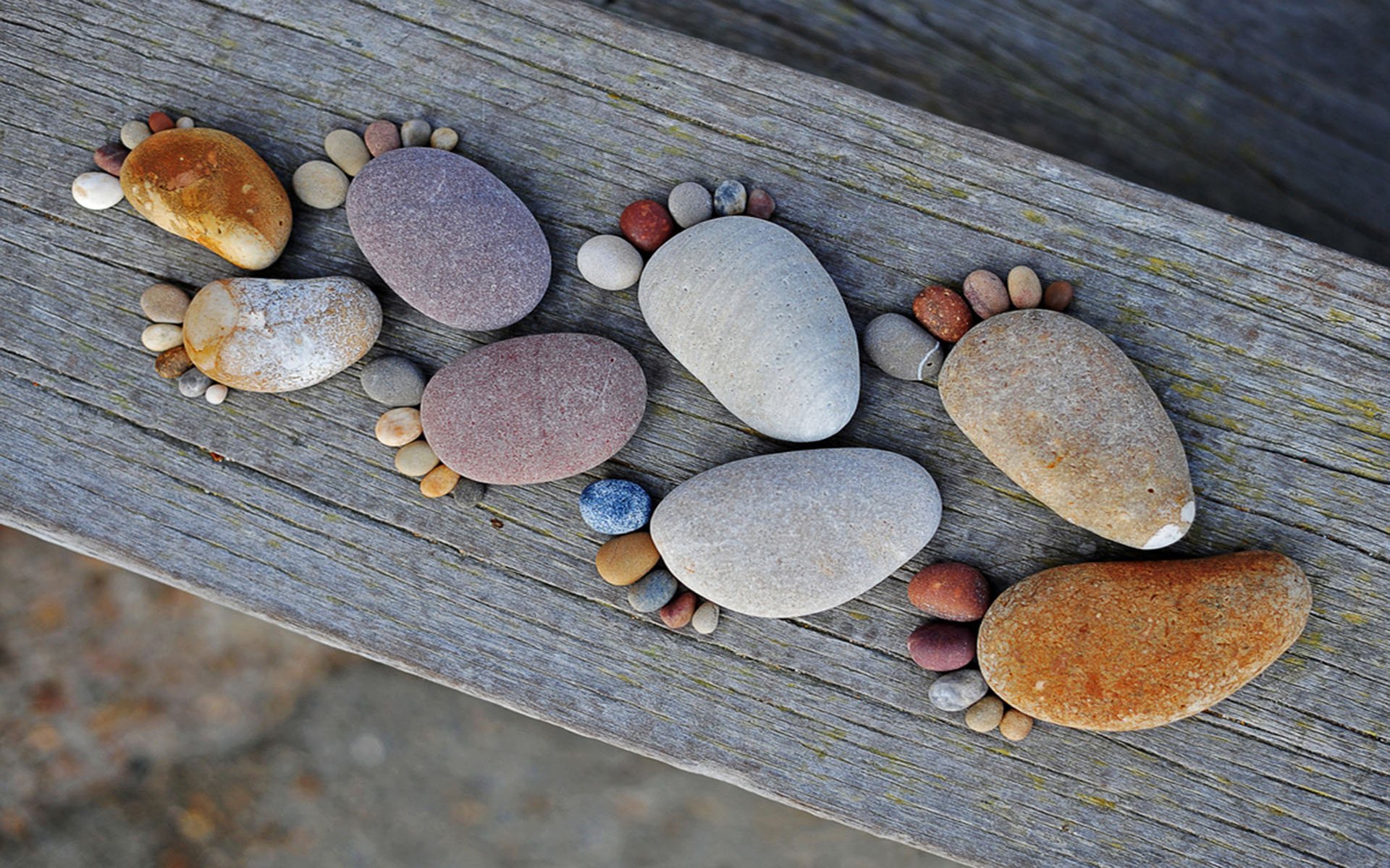 funny pebbles footprints shapes legs wood stones pebbles feet