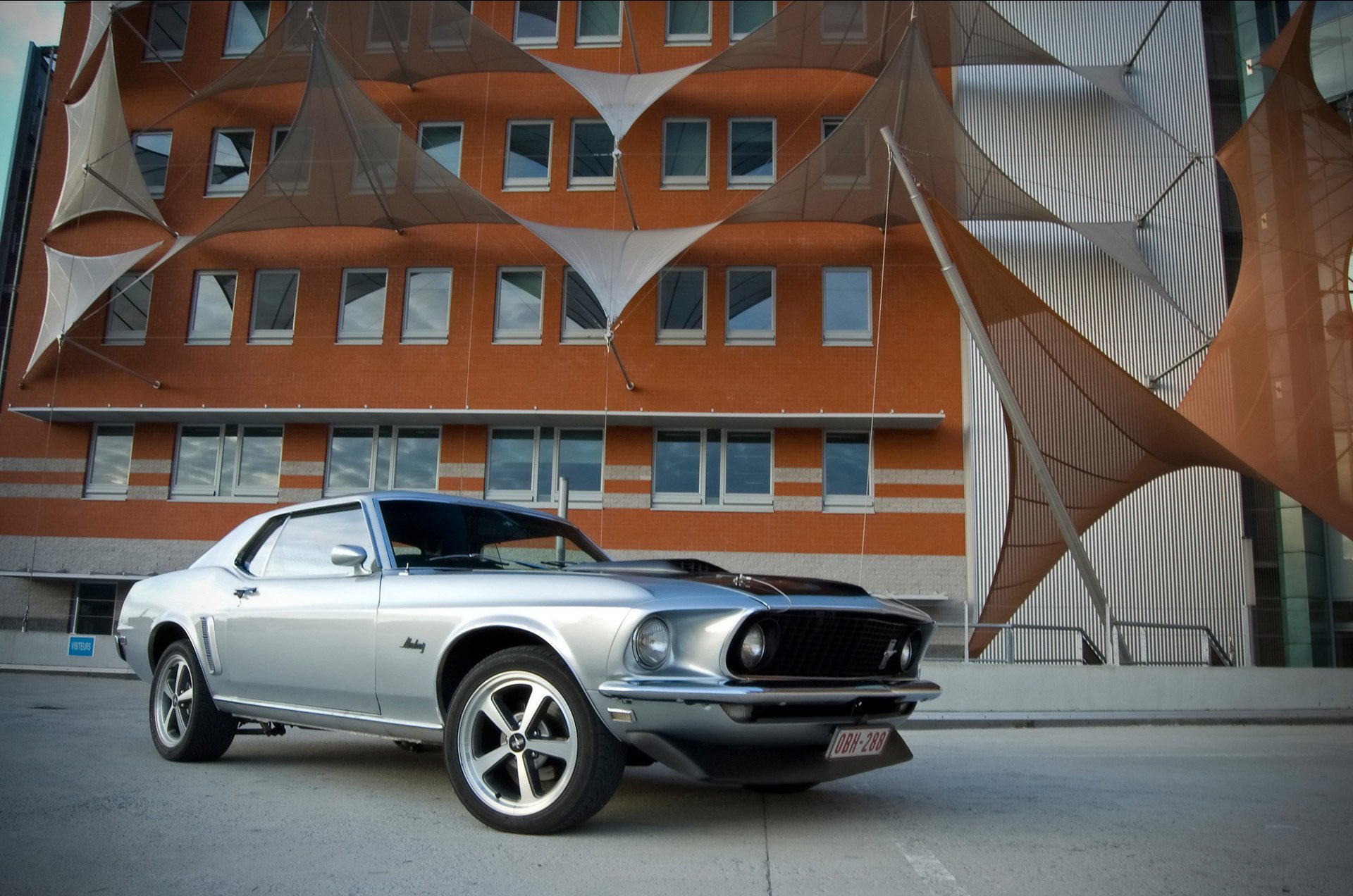 ford mustang shelby