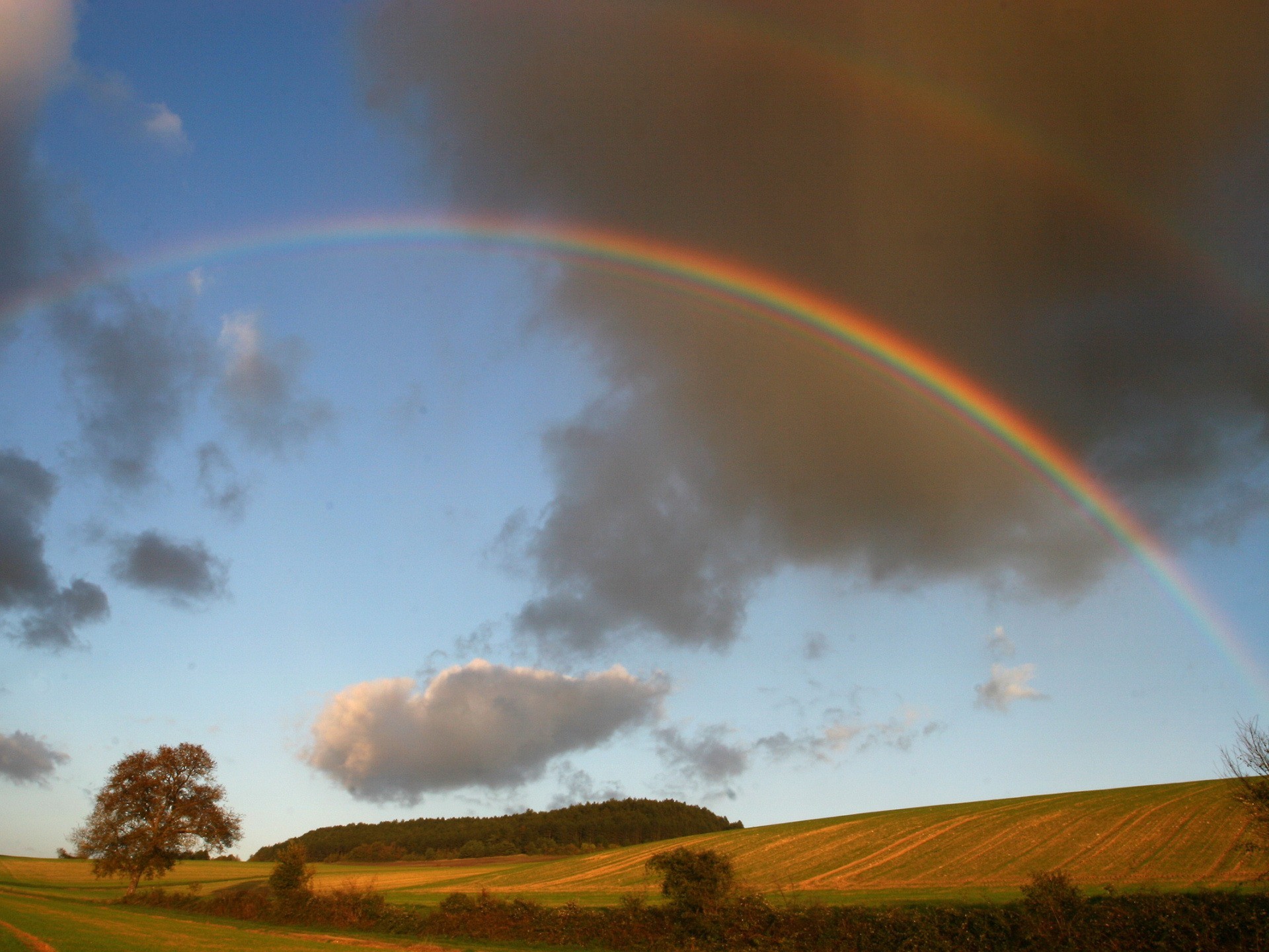 wolken regenbogen feld bäume