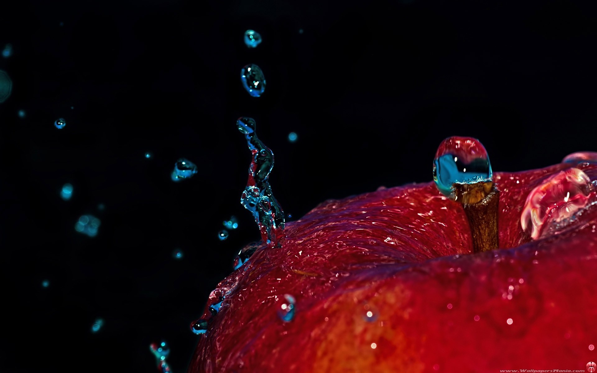 close up apple fall