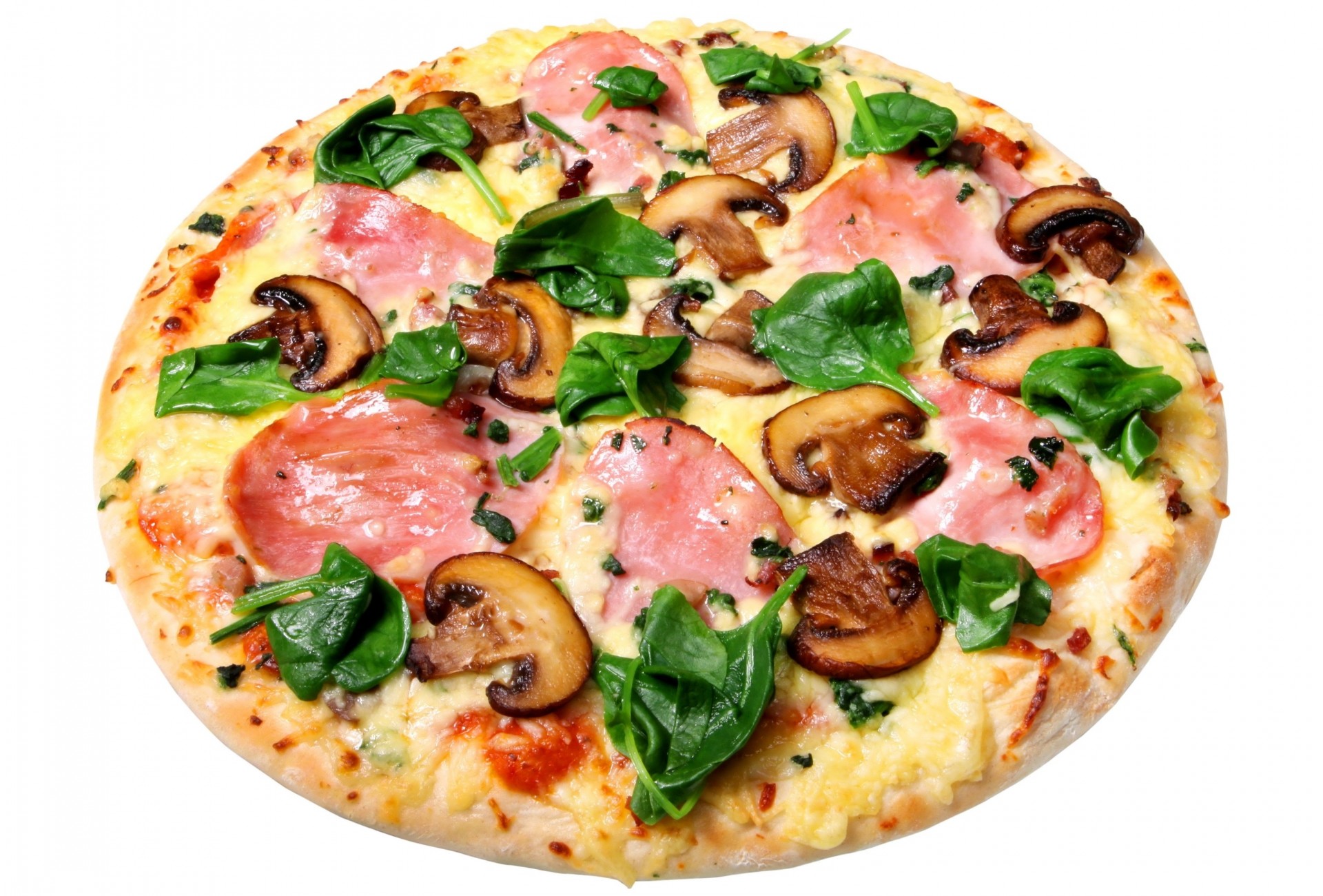 пицца грибная с сыром рецепт фото 111