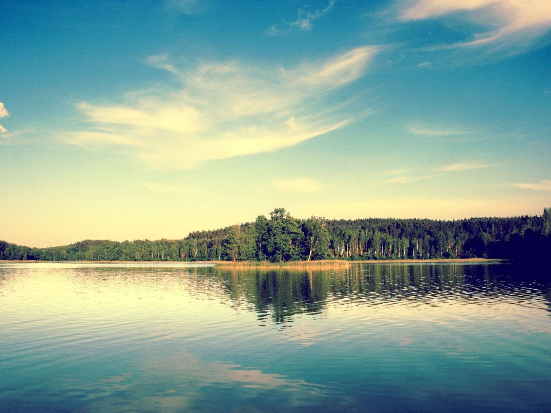 lago árboles cielo