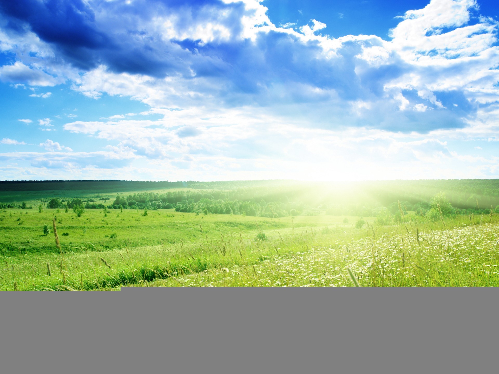 frühling gänseblümchen feld wolken sommer