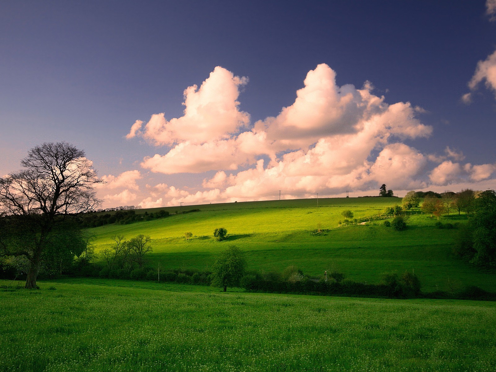 primavera prati nuvole