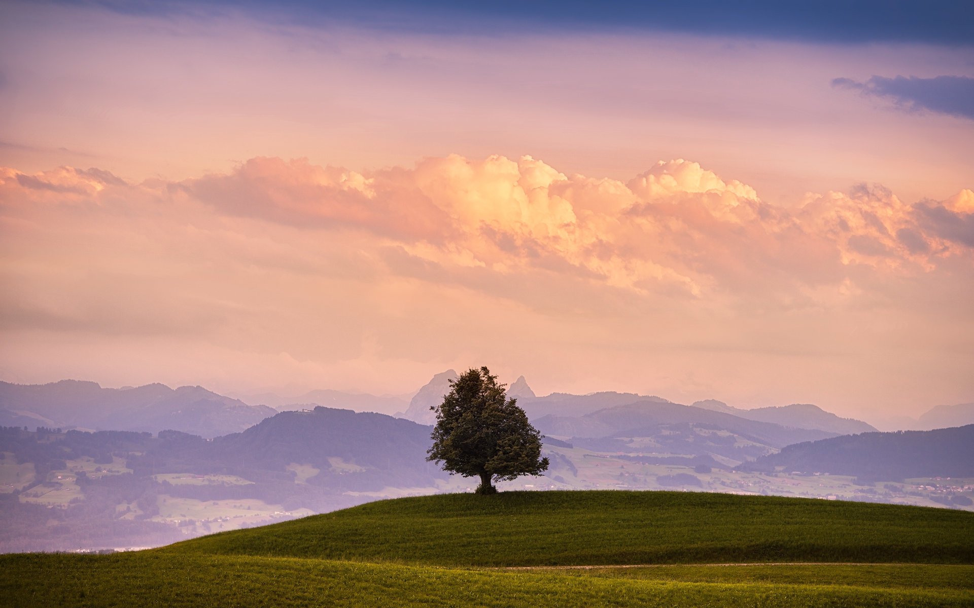 the sky tree mountains field grass cloud