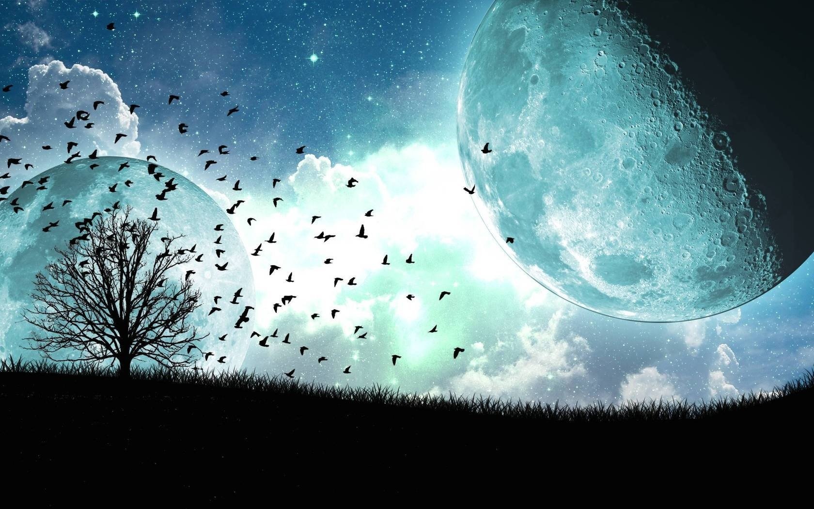 atellite clouds the moon tree bird