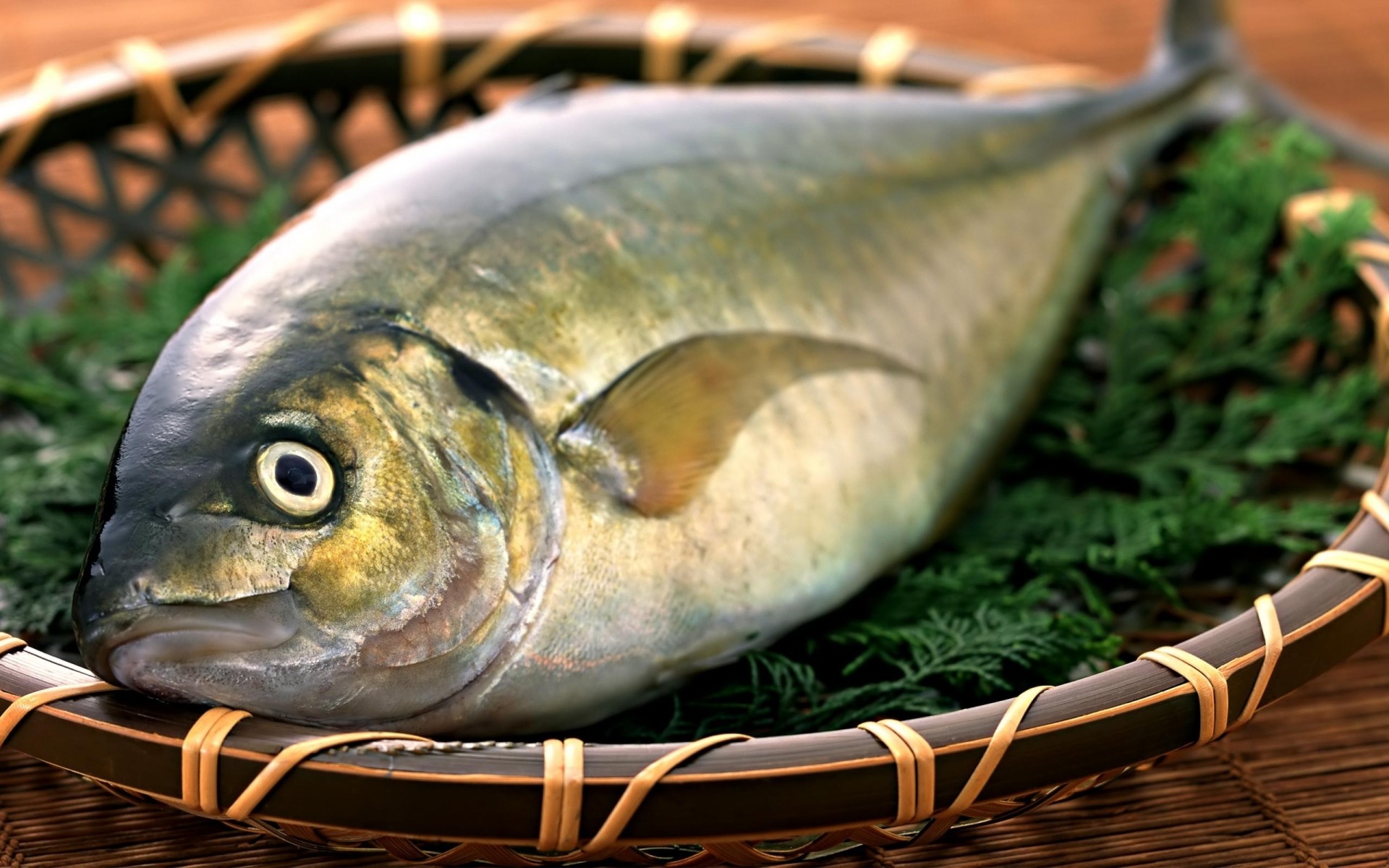 foglia pesce erba piatto verde