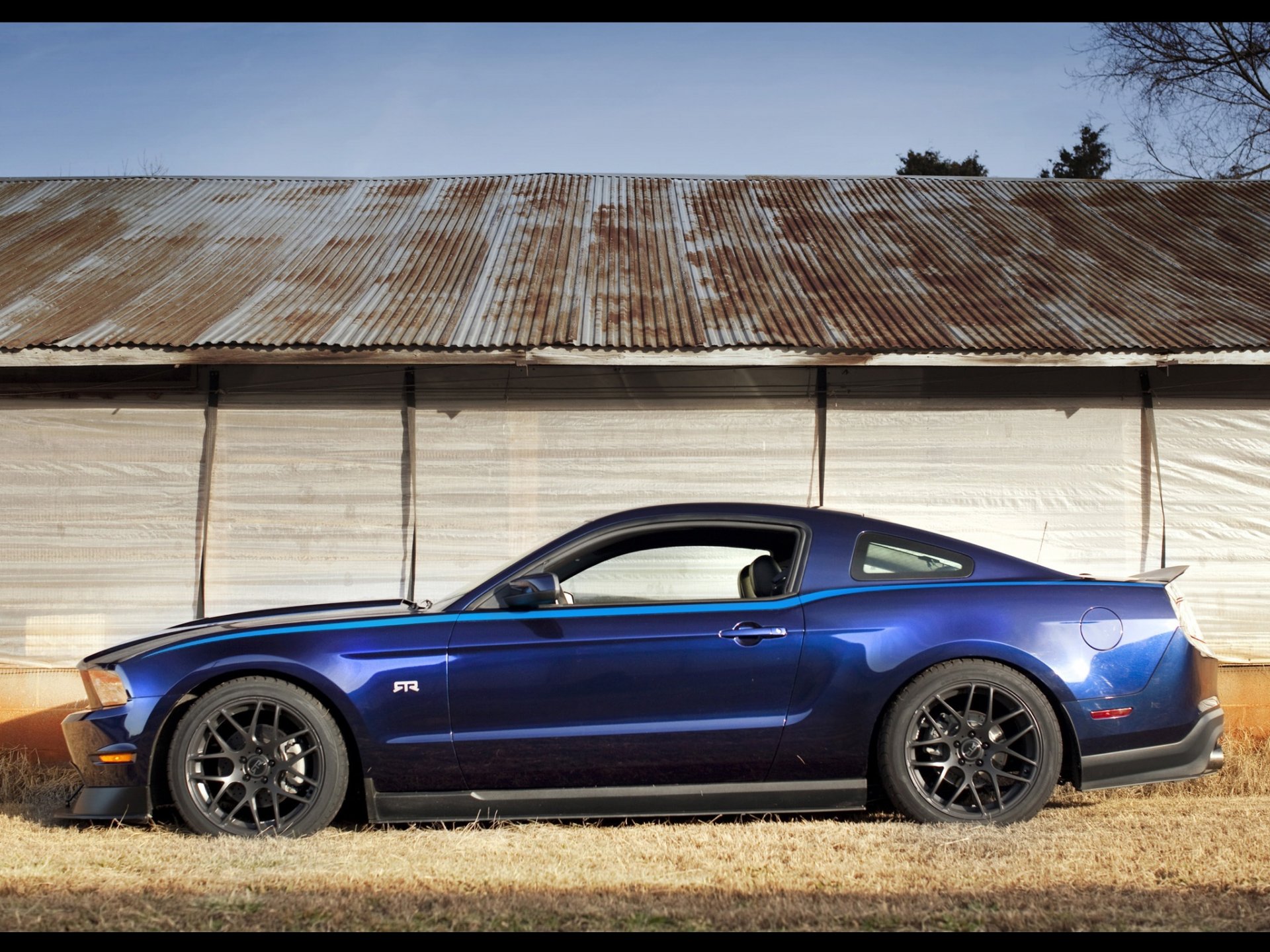 mustang rtr paket blau muskel