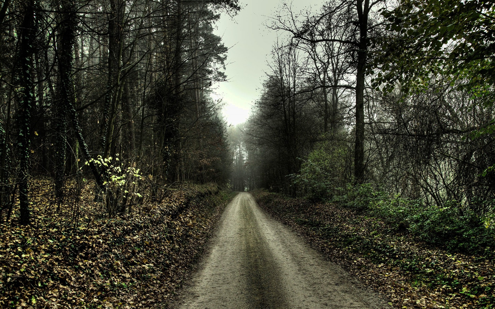 strada autunno tristezza