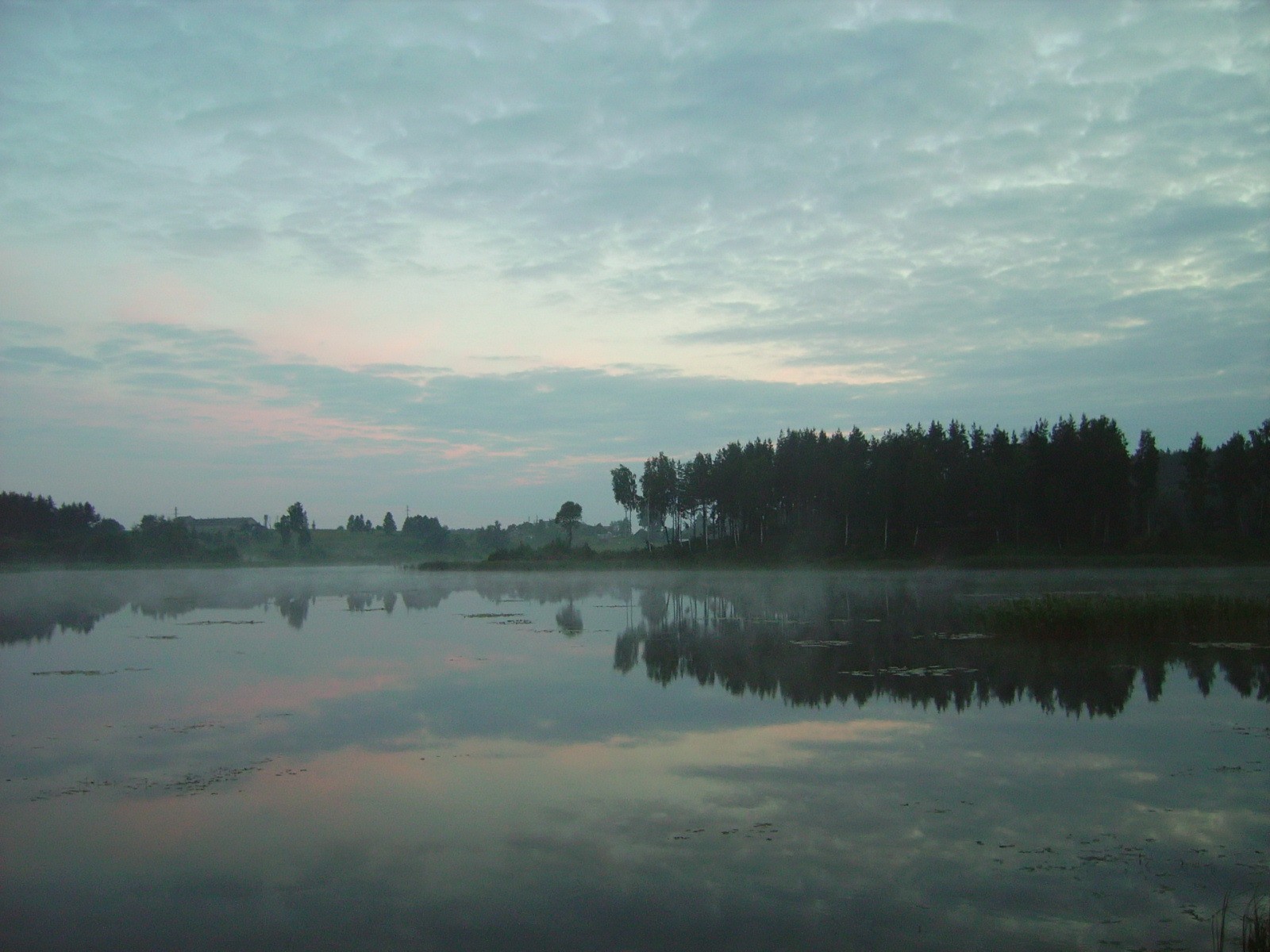 lago alberi necher