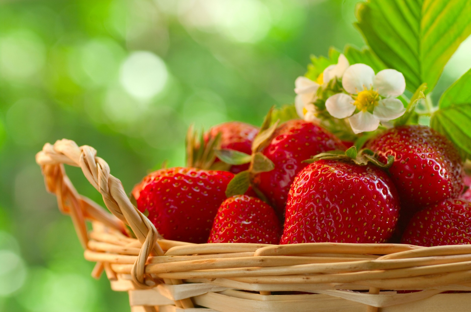 feuille baies fraises délicieux