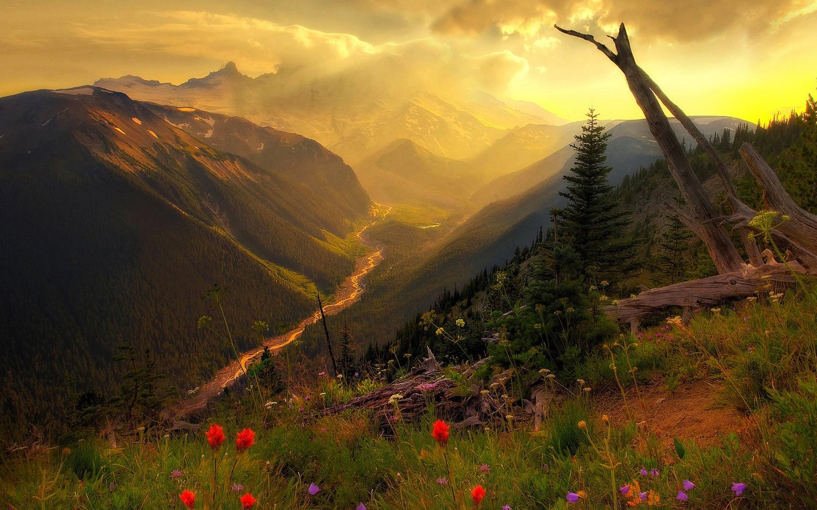 blumen nebel berge wolken gras schön landschaft