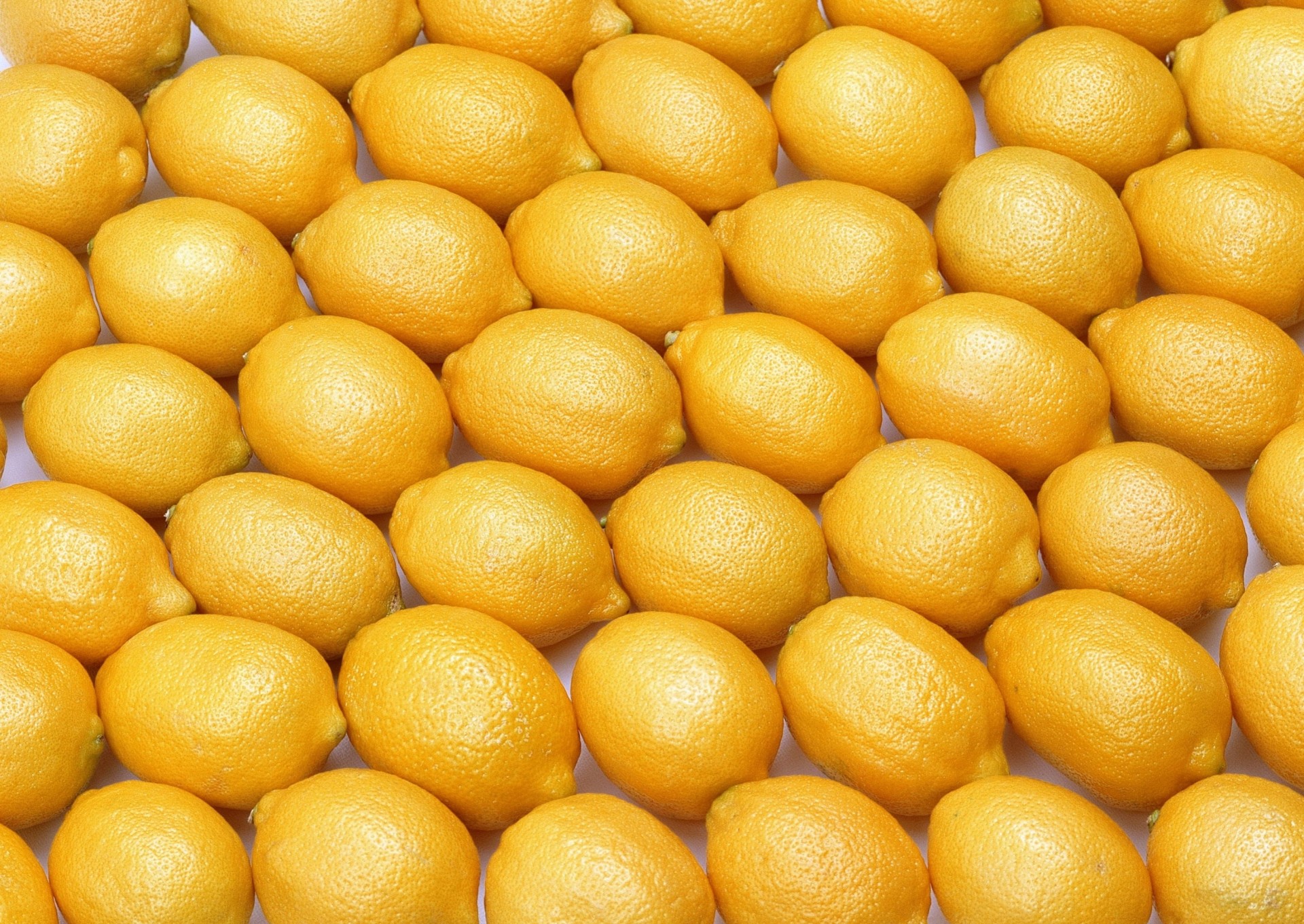 background lemon citru